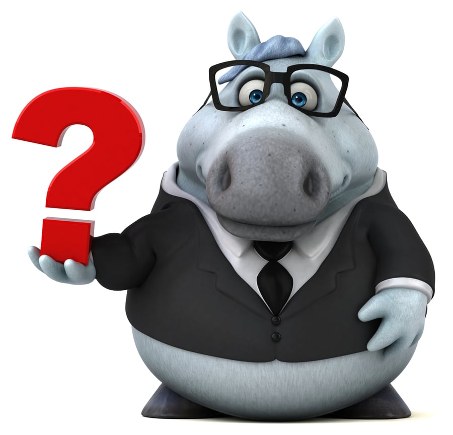 How to Ask Horsemanship Questions (In A Way That Will Give You The Best